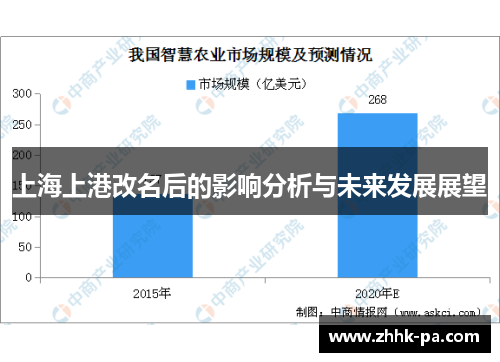 上海上港改名后的影响分析与未来发展展望