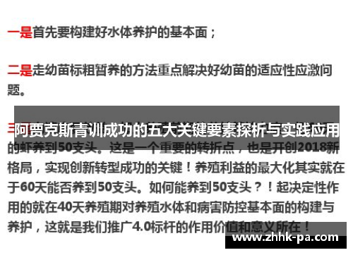 阿贾克斯青训成功的五大关键要素探析与实践应用