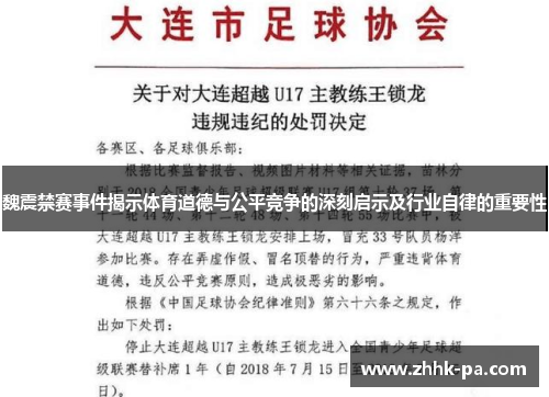 魏震禁赛事件揭示体育道德与公平竞争的深刻启示及行业自律的重要性
